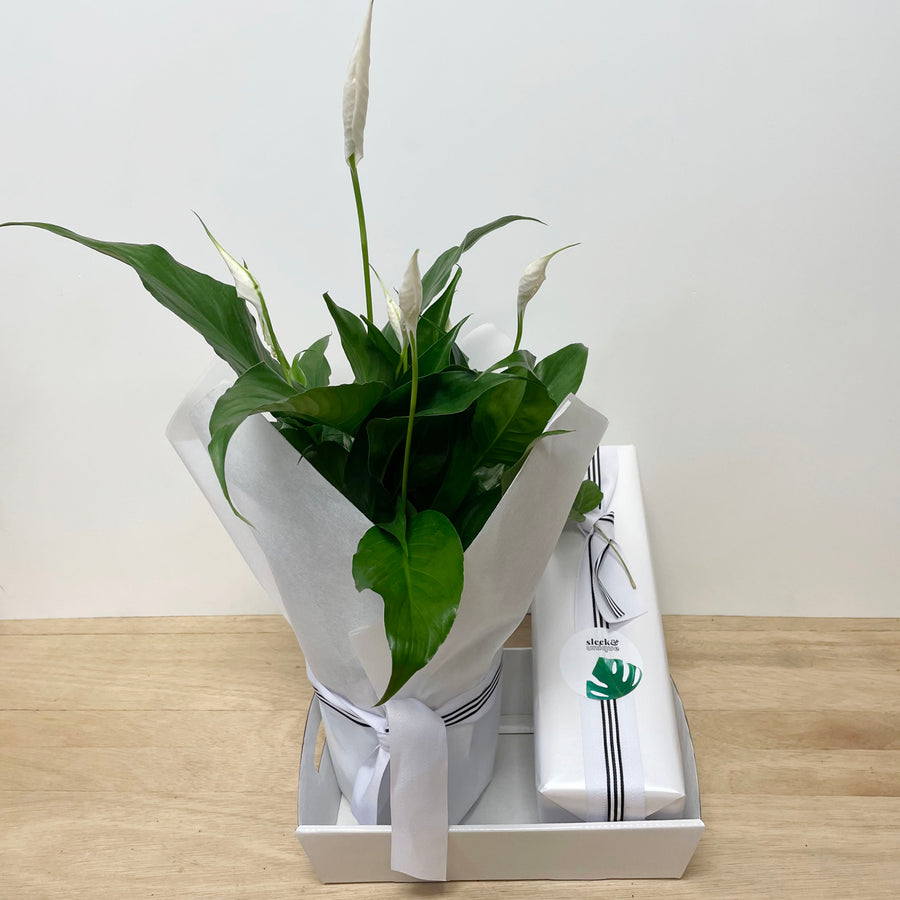 Peace Lily and Champagne Gift Delivery Adelaide
