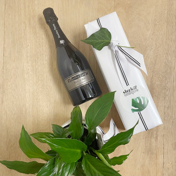 Champagne and Plant Gift Bundle for Adelaide Delivery Perfect for Mothers Day