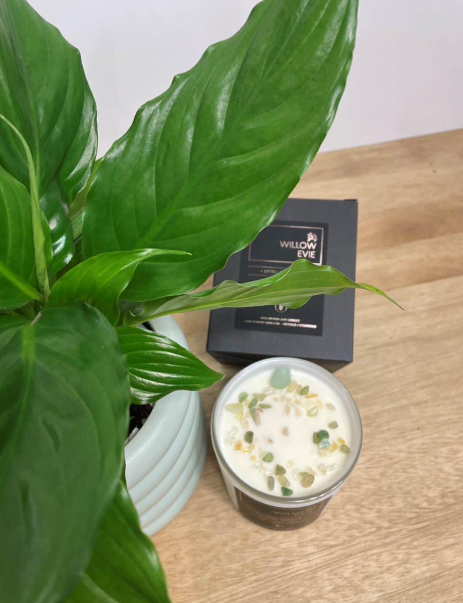 pot plant gift wrapped 100% soy candle same day delivery adelaide