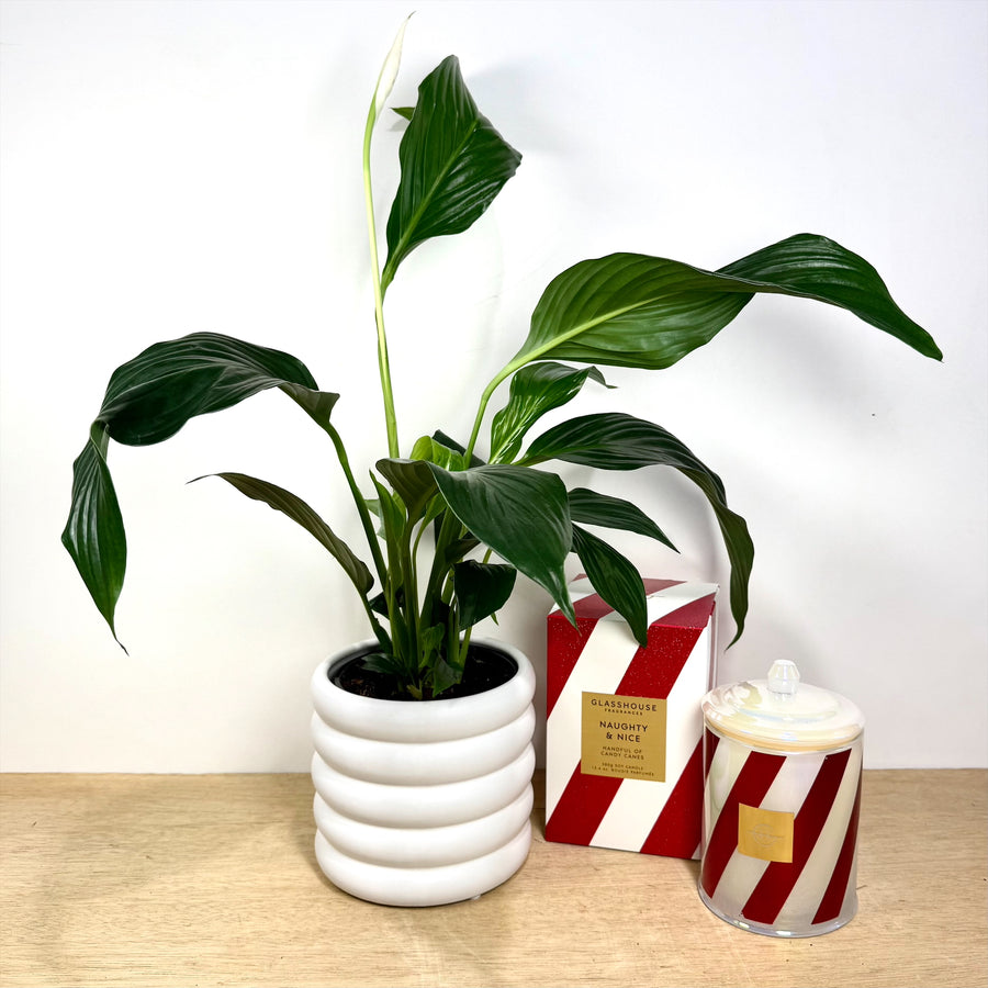 Naughty & Nice Glasshouse Candy Cane Candle Christmas Gift Bundle.