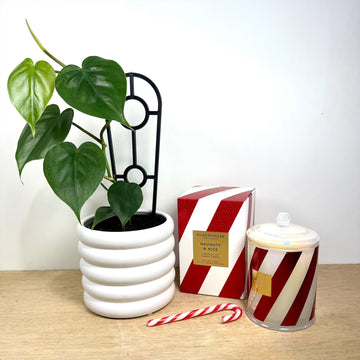 Christmas Gift Set - Glasshouse Fragrance Candle - Naughty & Nice