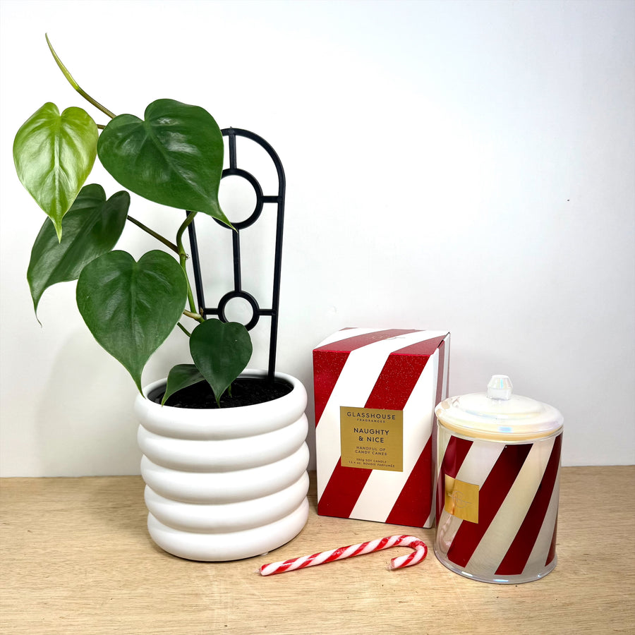 Christmas Gift Set - Glasshouse Fragrance Candle - Naughty & Nice