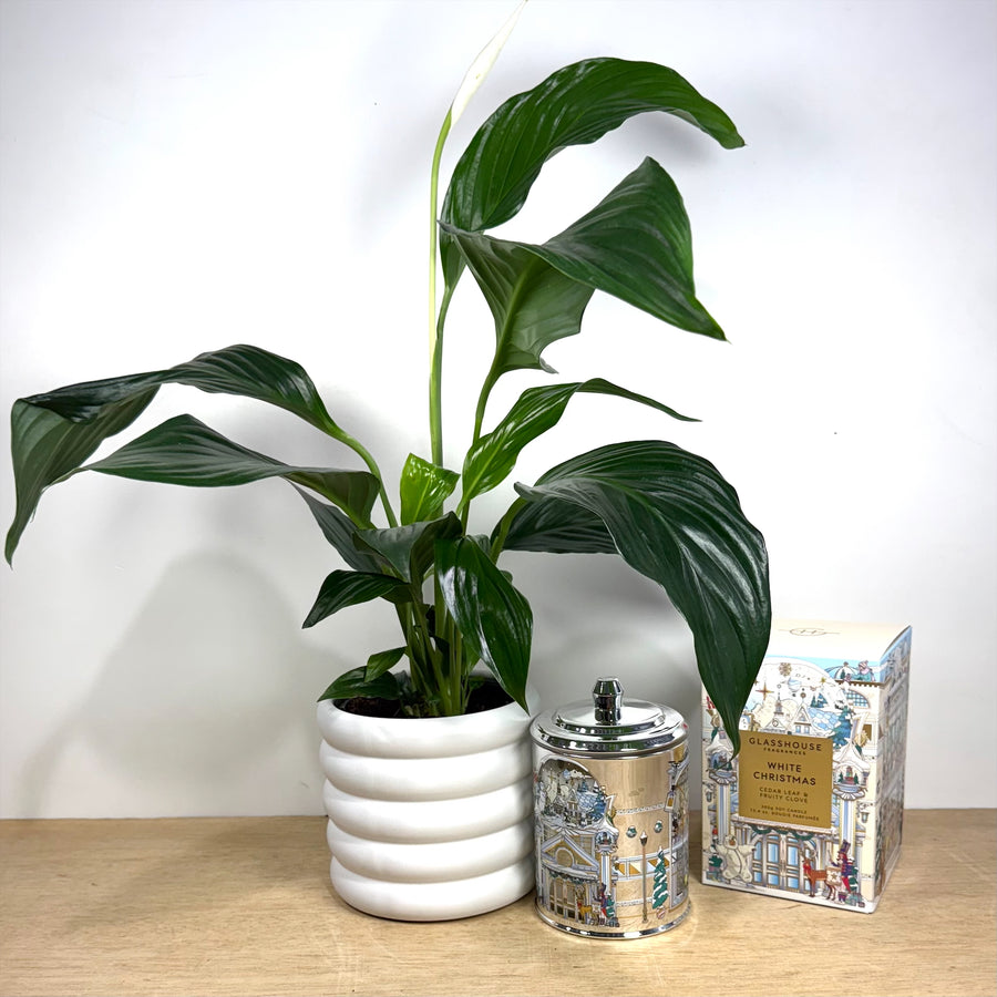 White Christmas Candle gift set - Christmas Gift delivery Adelaide