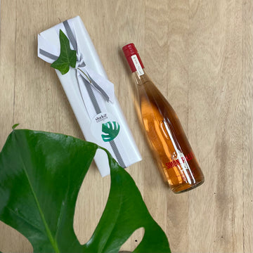 Simon Tolley Adelaide Hills Rose and Monstera Indoor Plant Gift Package - Plant Gift Delivery Adelaide