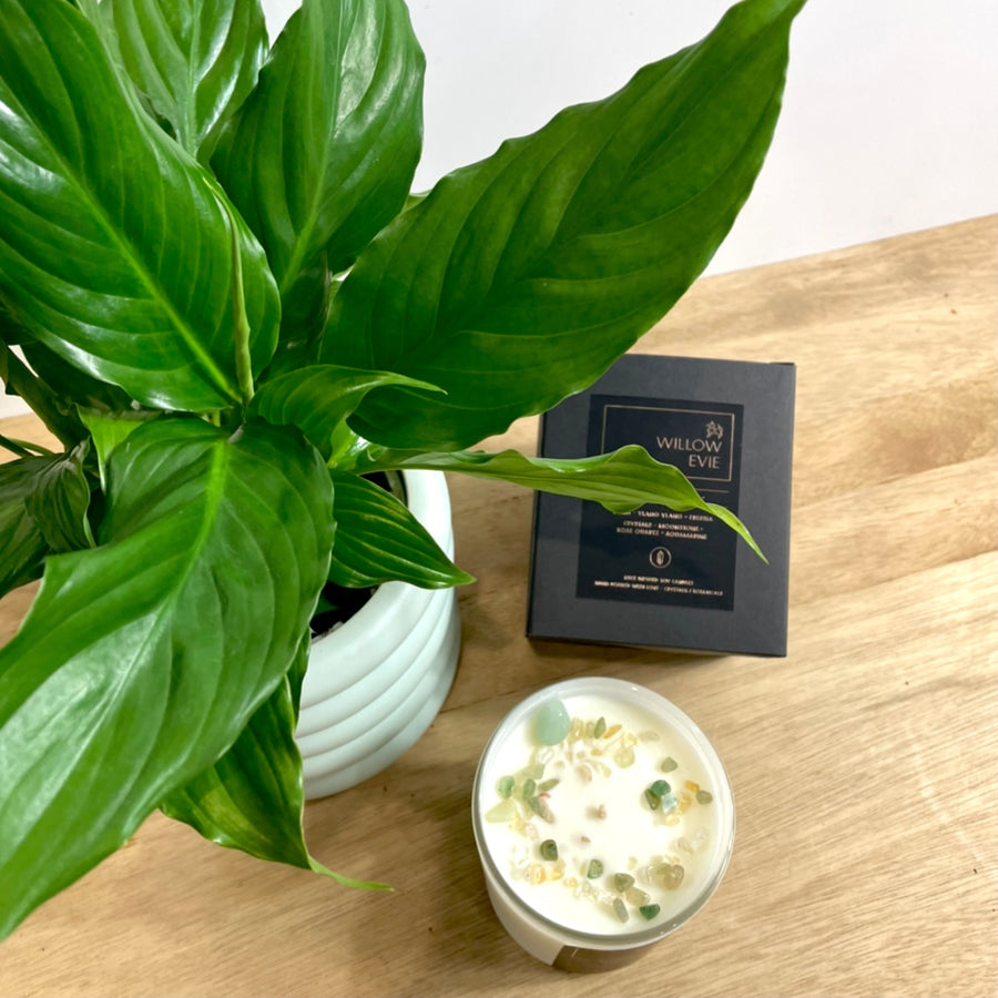 peace lily pot plant and candle gift set adelaide same day delivery