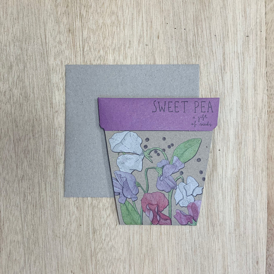 Sweet Pea Flower Seed Gift Pack - Sleek and Unique Gifts - Plant gifts